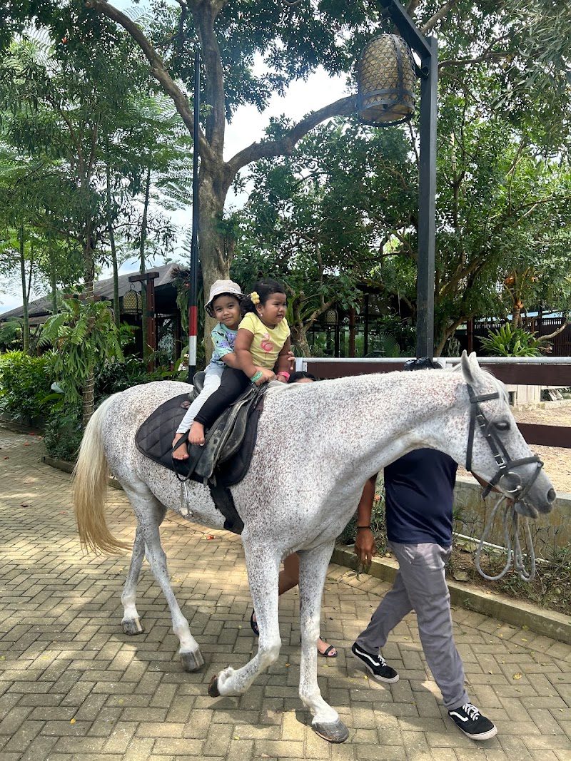 Nirwana Resto & Cafe
