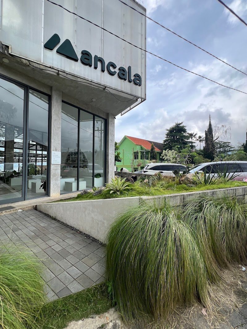 Ancala Coffee & Bistro