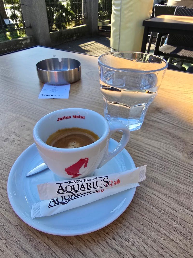 Aquarius Vils
