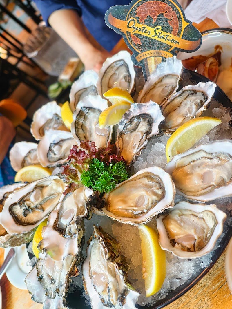 Oyster Station(Knutsford Terrace)