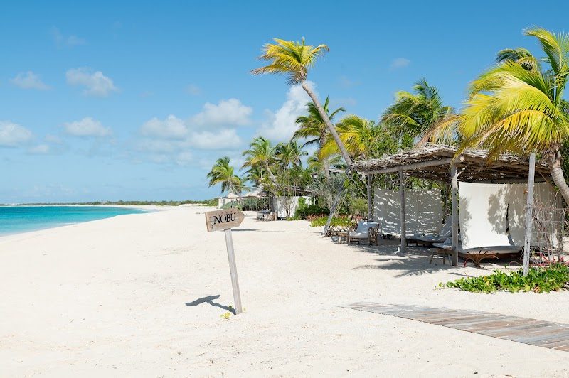 Nobu Barbuda