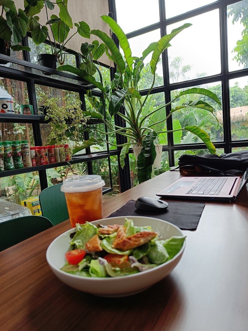 Susy Garden (Plants & Coffee)