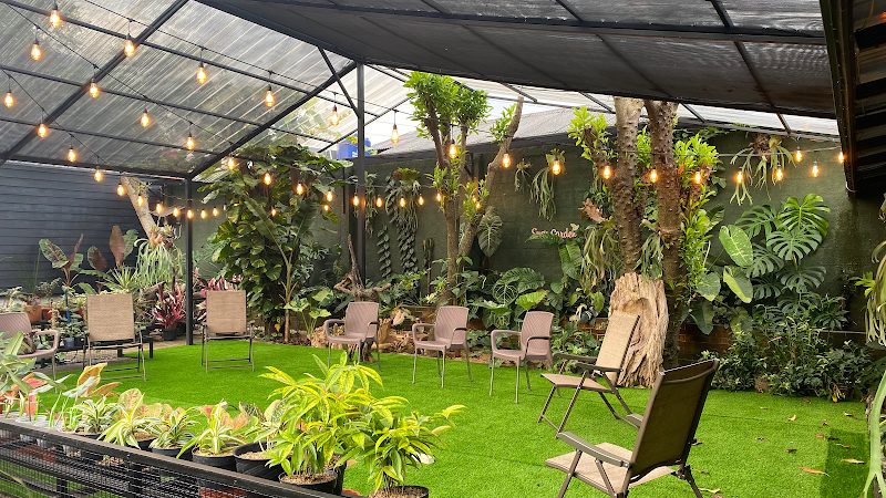 Susy Garden (Plants & Coffee)