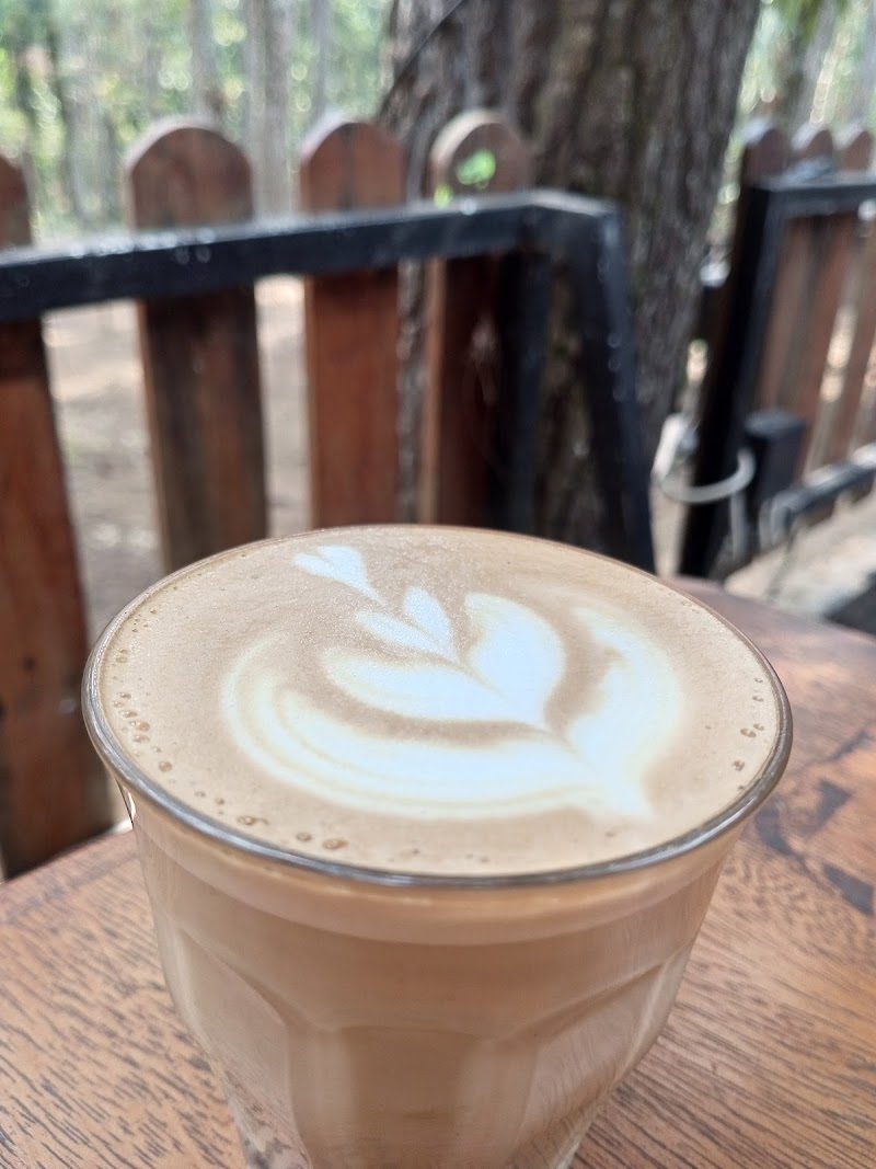 Kopi Tahura